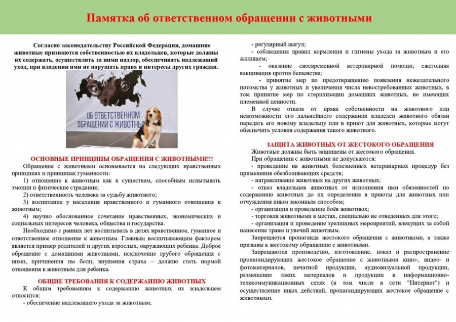 Памятка об ответственном обращении с животными