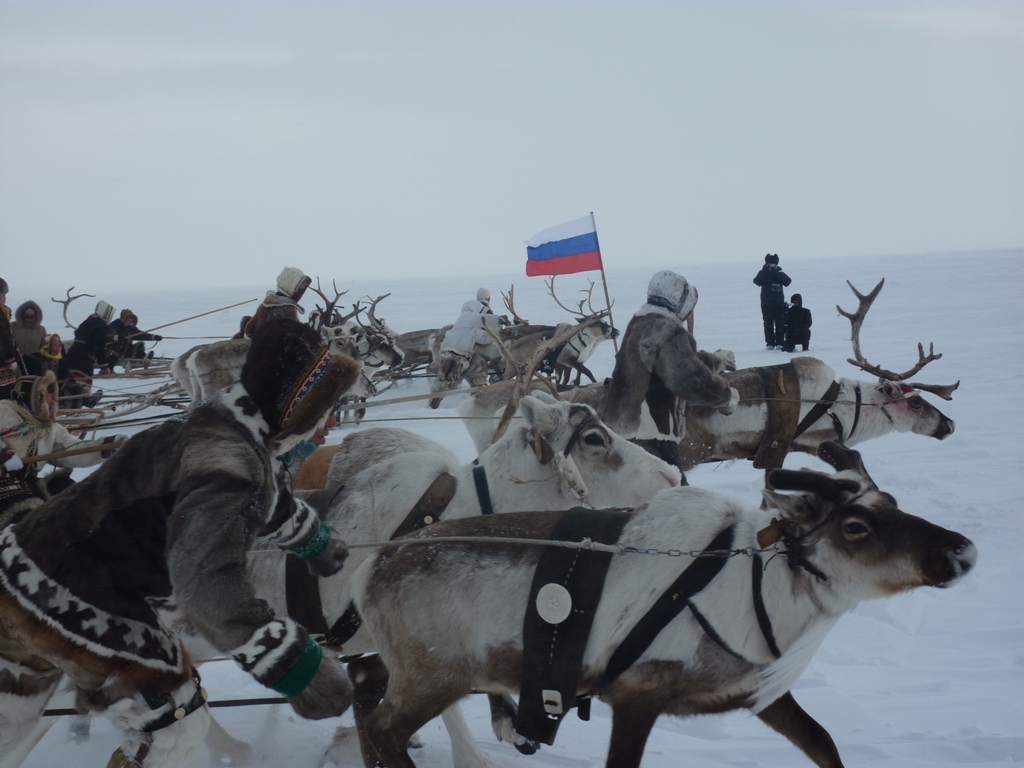 День оленевода